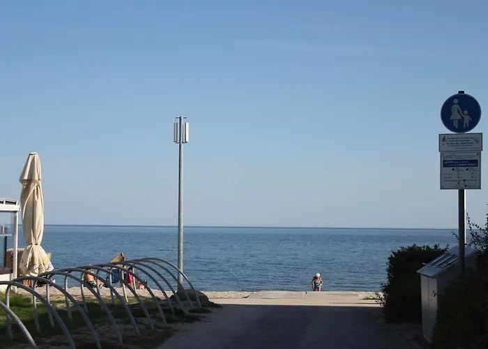 Ostwind Im Kirschgarten *